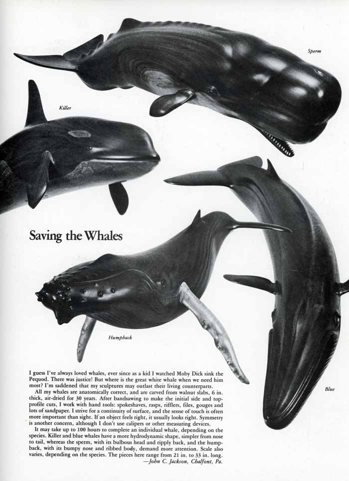 Saving the Whales